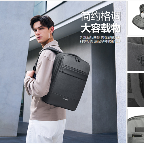 新秀丽双肩包 TX6*09002