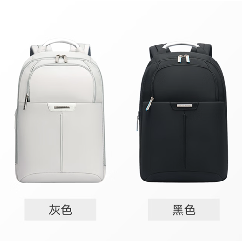 新秀丽双肩包 BP2*28002